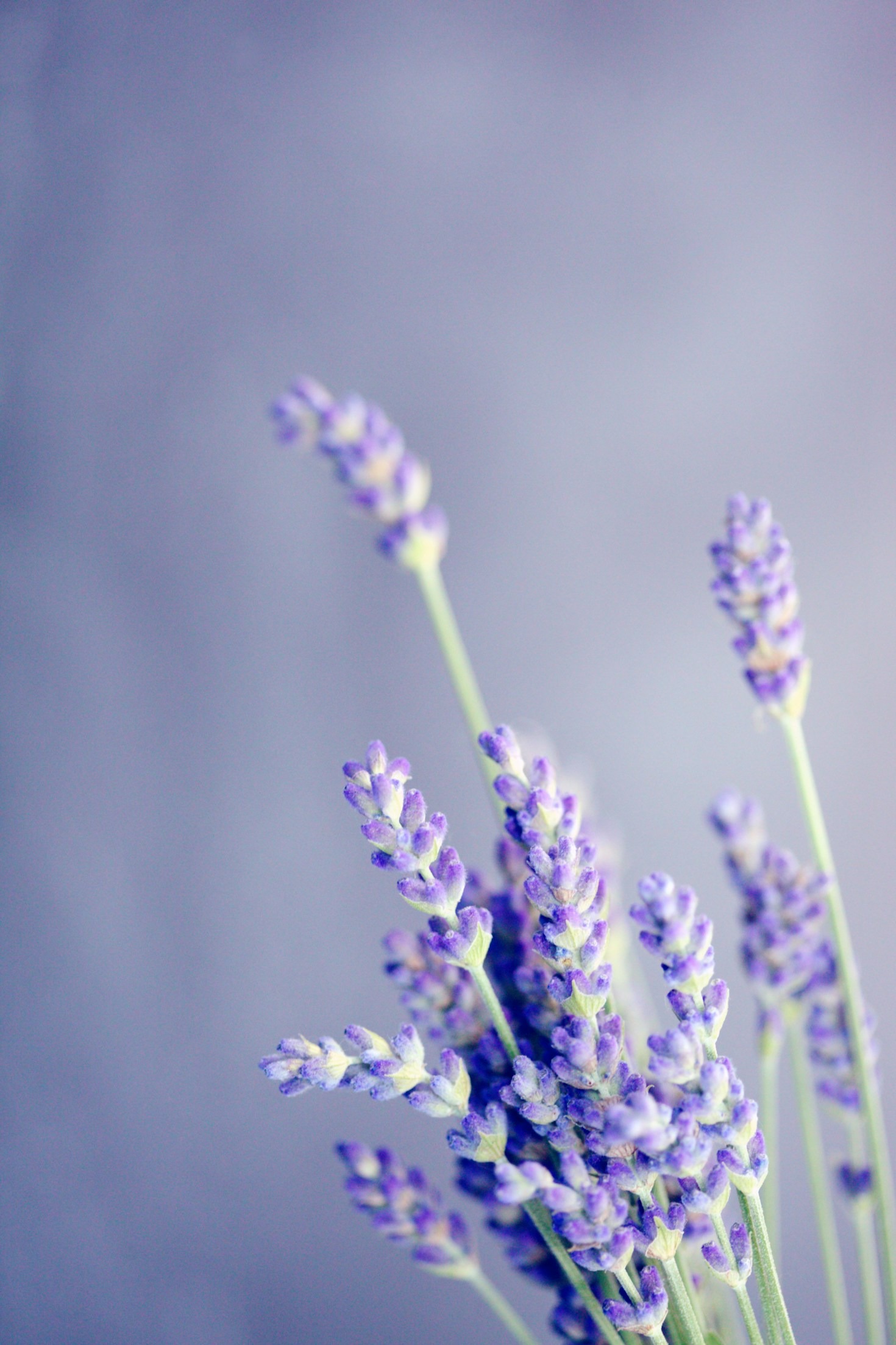 Why Tailored Remedies Matter for Your Health